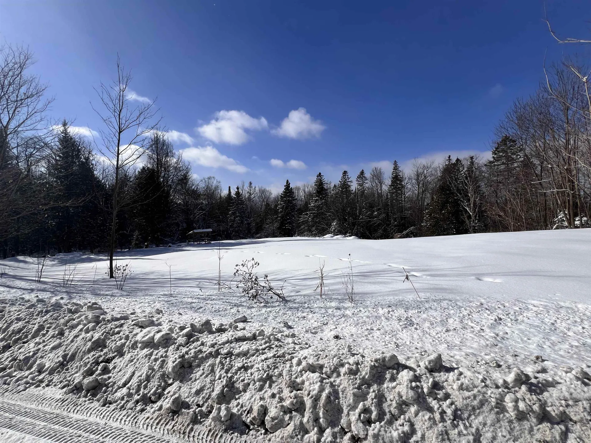 278 Mosher Road Sheffield VT 05866