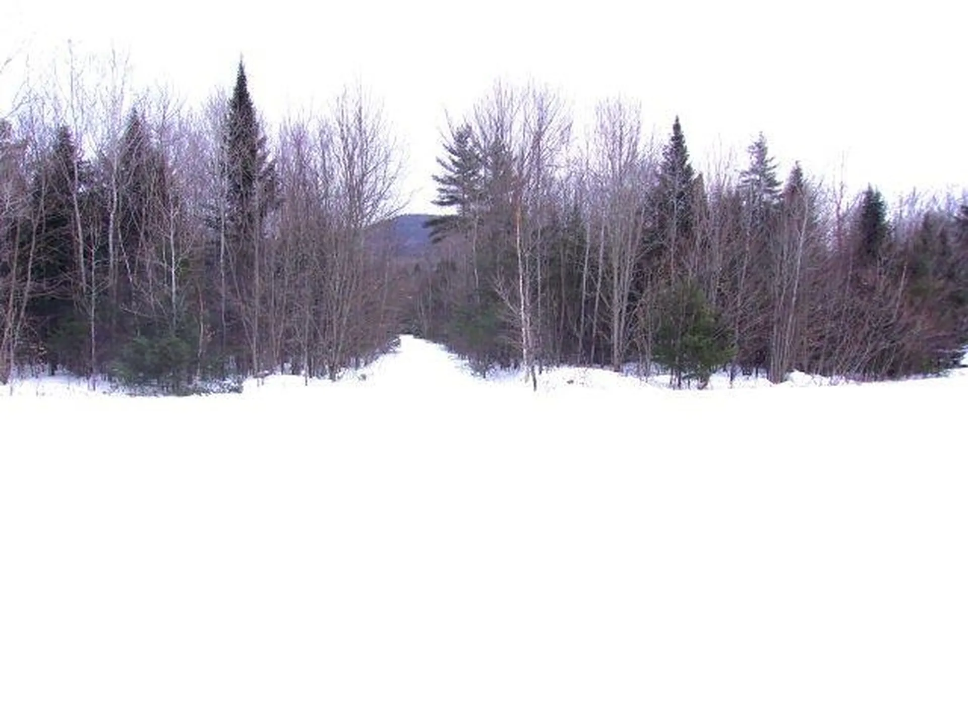 Fenn Way Circle Bath NH 03740