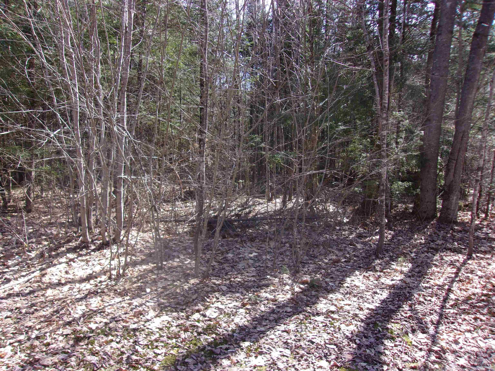 Fenn Way Circle Bath NH 03740