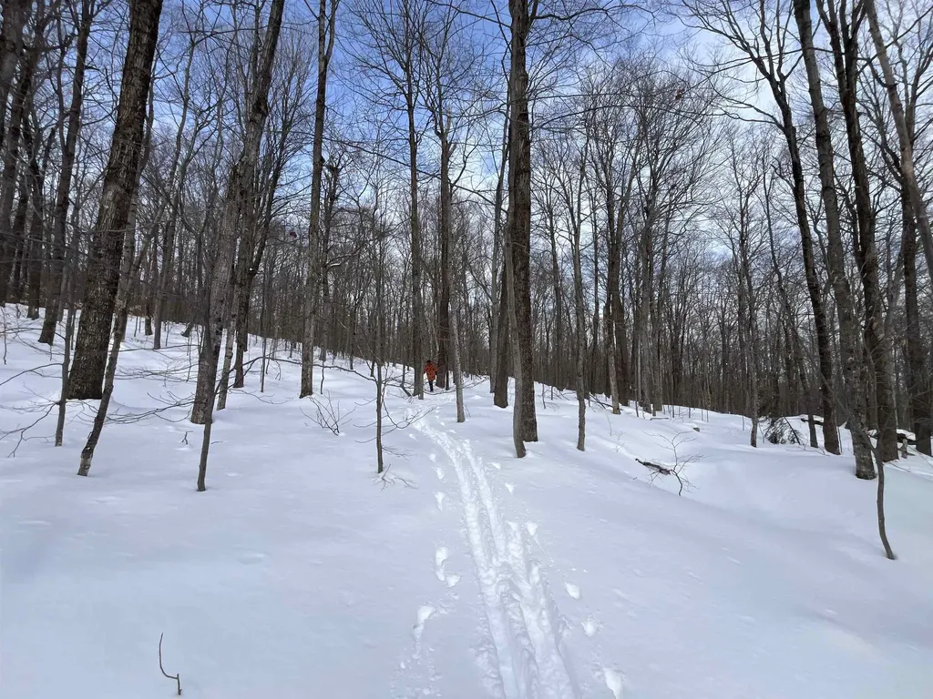 Lot 1 Streeter Road Wardsboro VT 05360