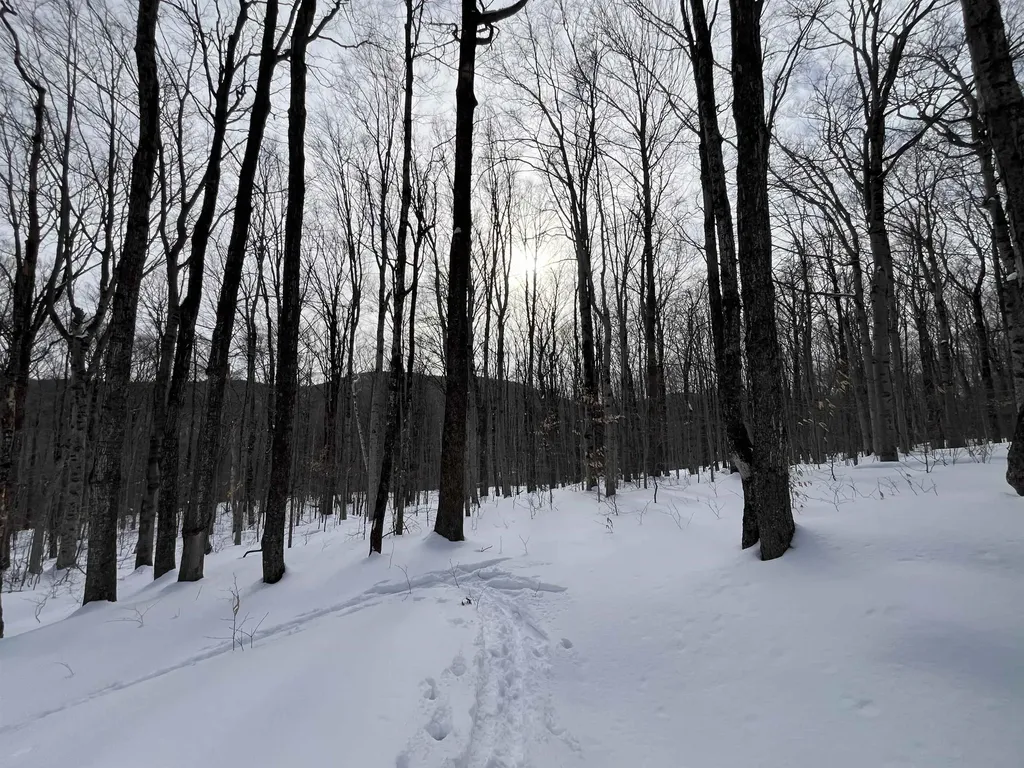 Lot 1 Streeter Road Wardsboro VT 05360