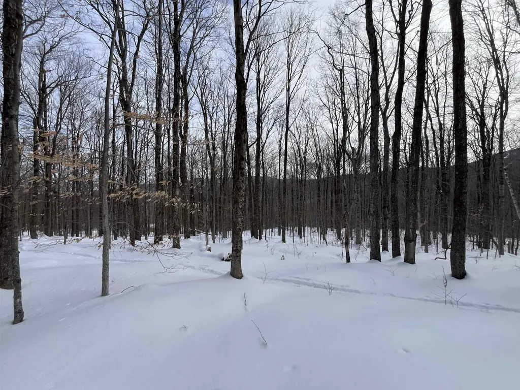 Lot 1 Streeter Road Wardsboro VT 05360