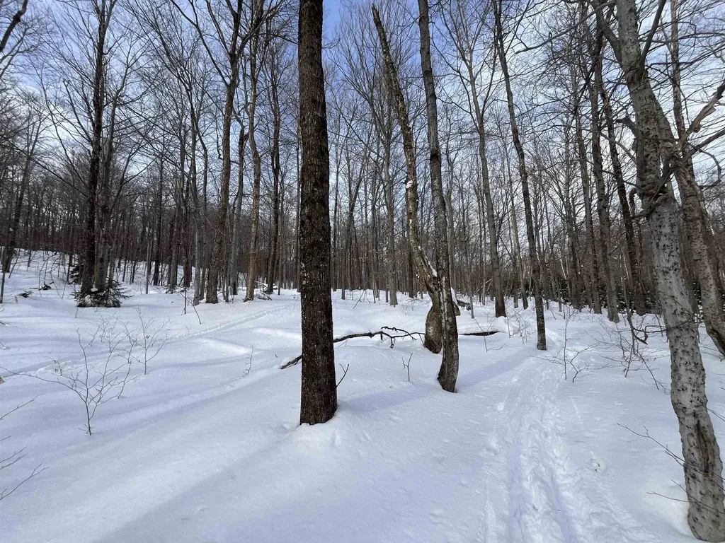 Lot 1 Streeter Road Wardsboro VT 05360