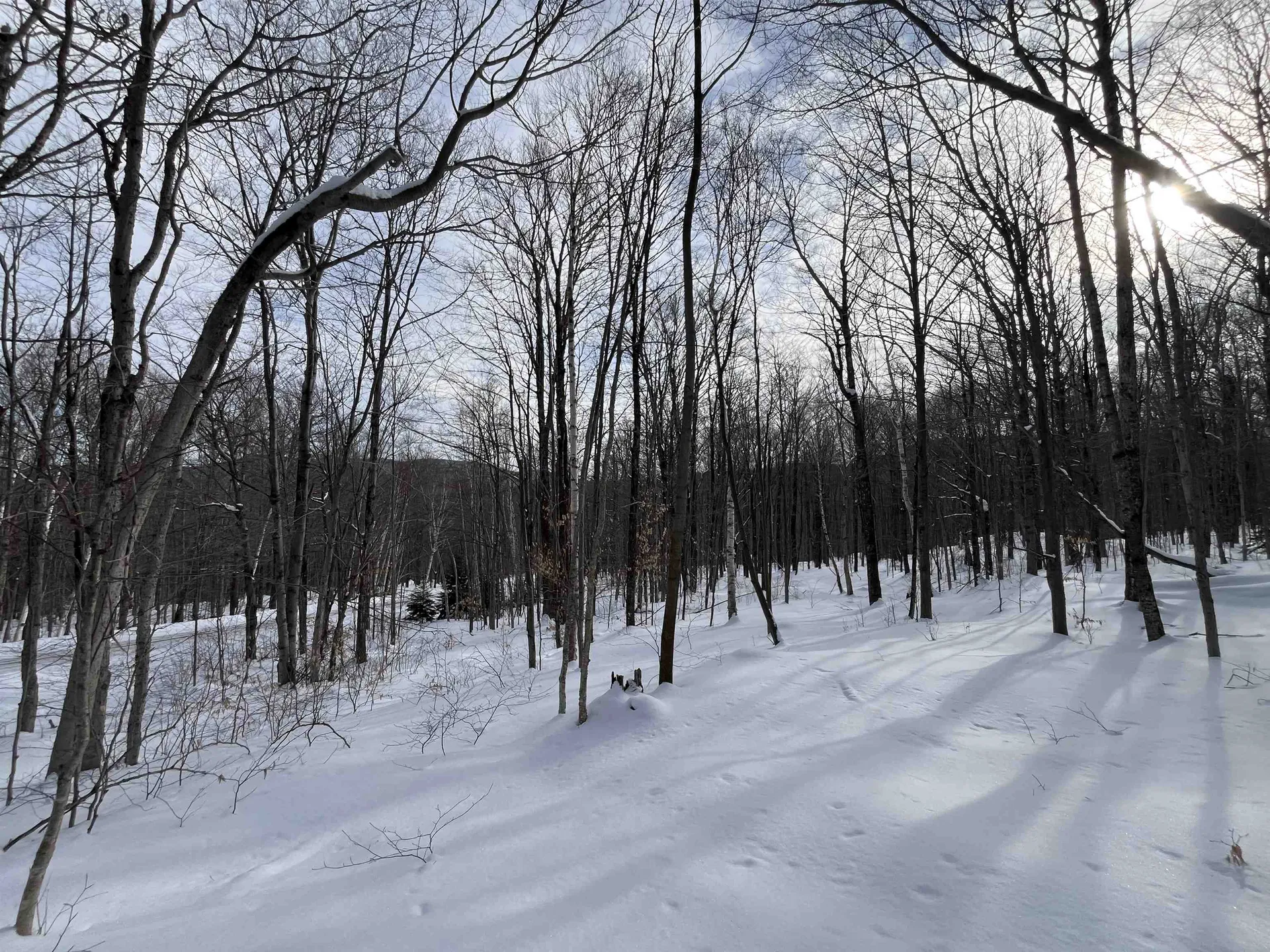 Lot 1 Streeter Road Wardsboro VT 05360