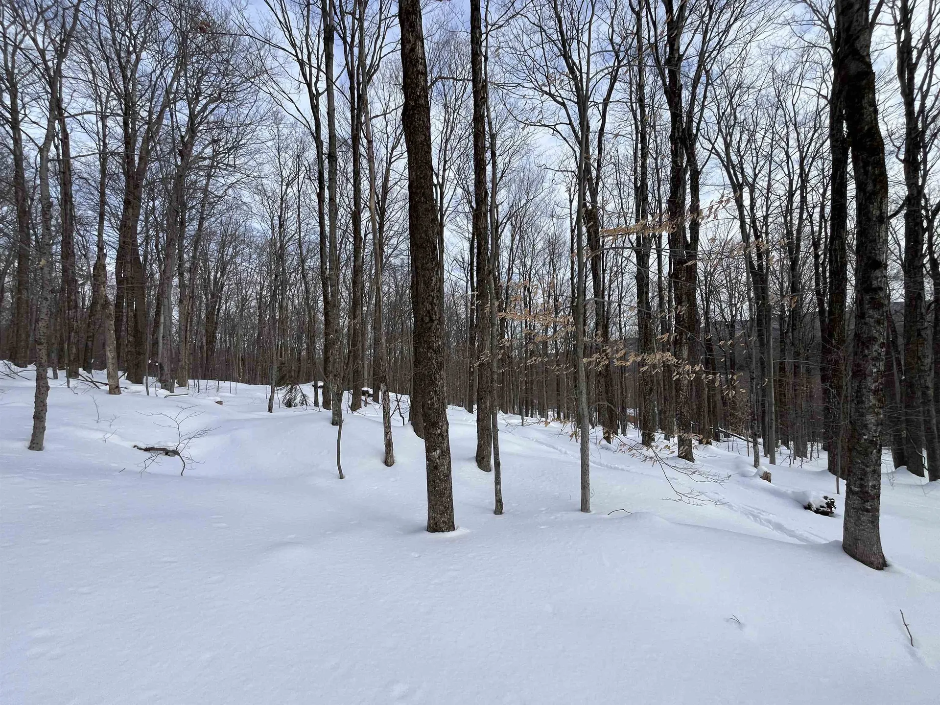 Lot 1 Streeter Road Wardsboro VT 05360