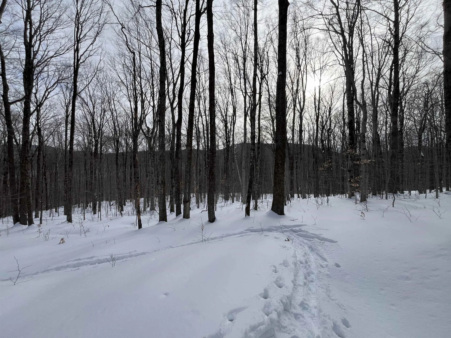 Lot 1 Streeter Road Wardsboro VT 05360