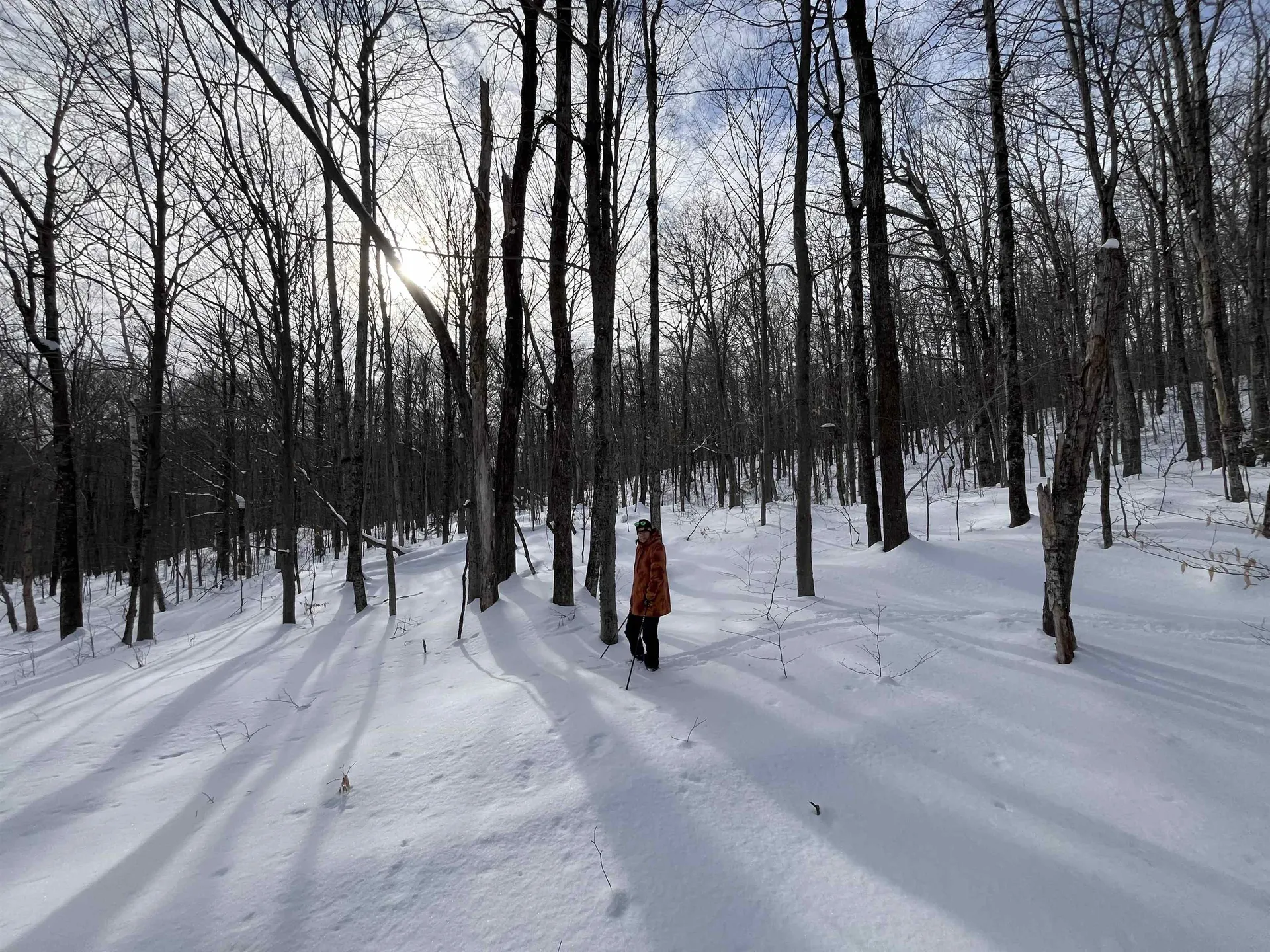 Lot 1 Streeter Road Wardsboro VT 05360