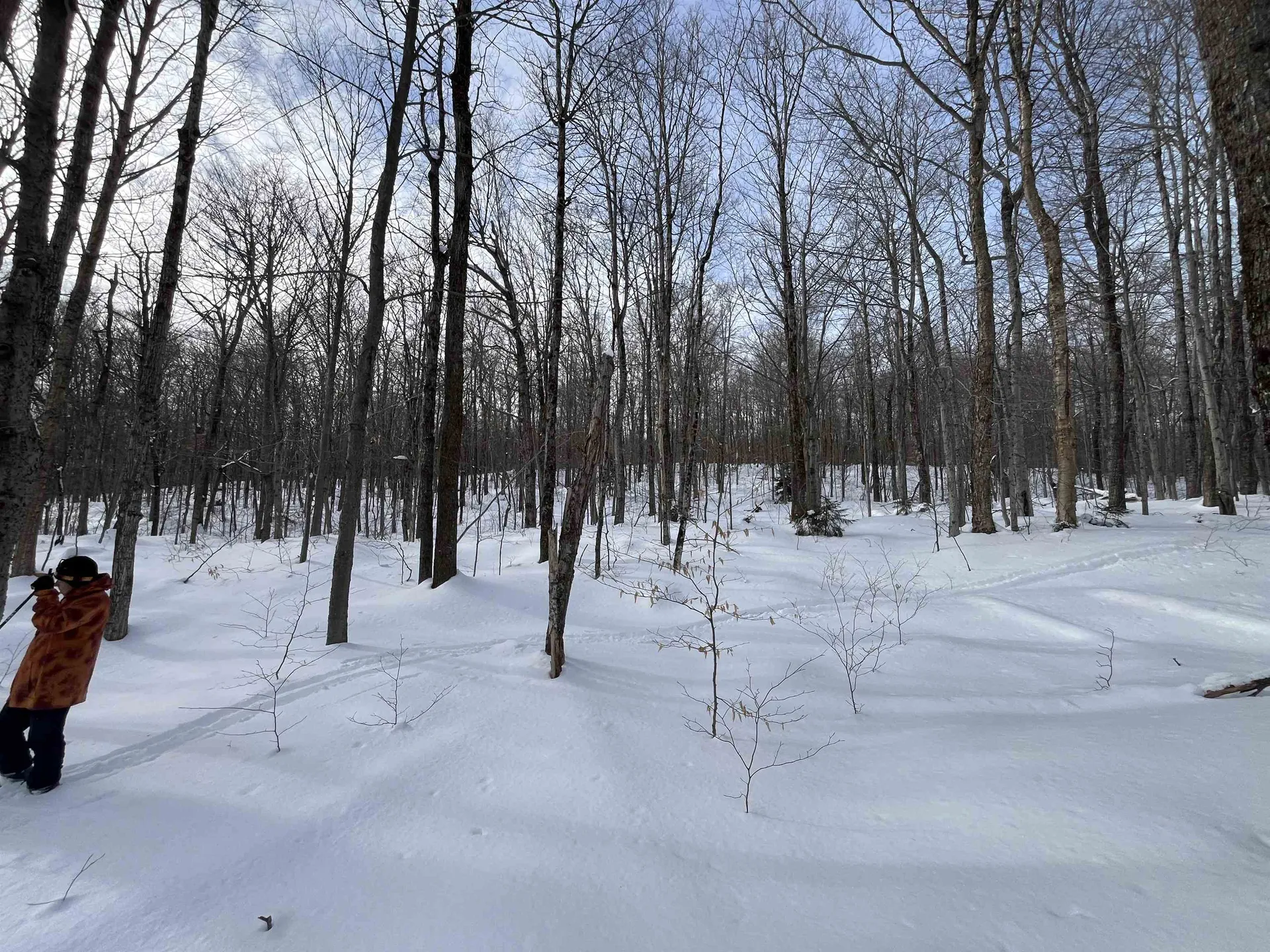 Lot 1 Streeter Road Wardsboro VT 05360