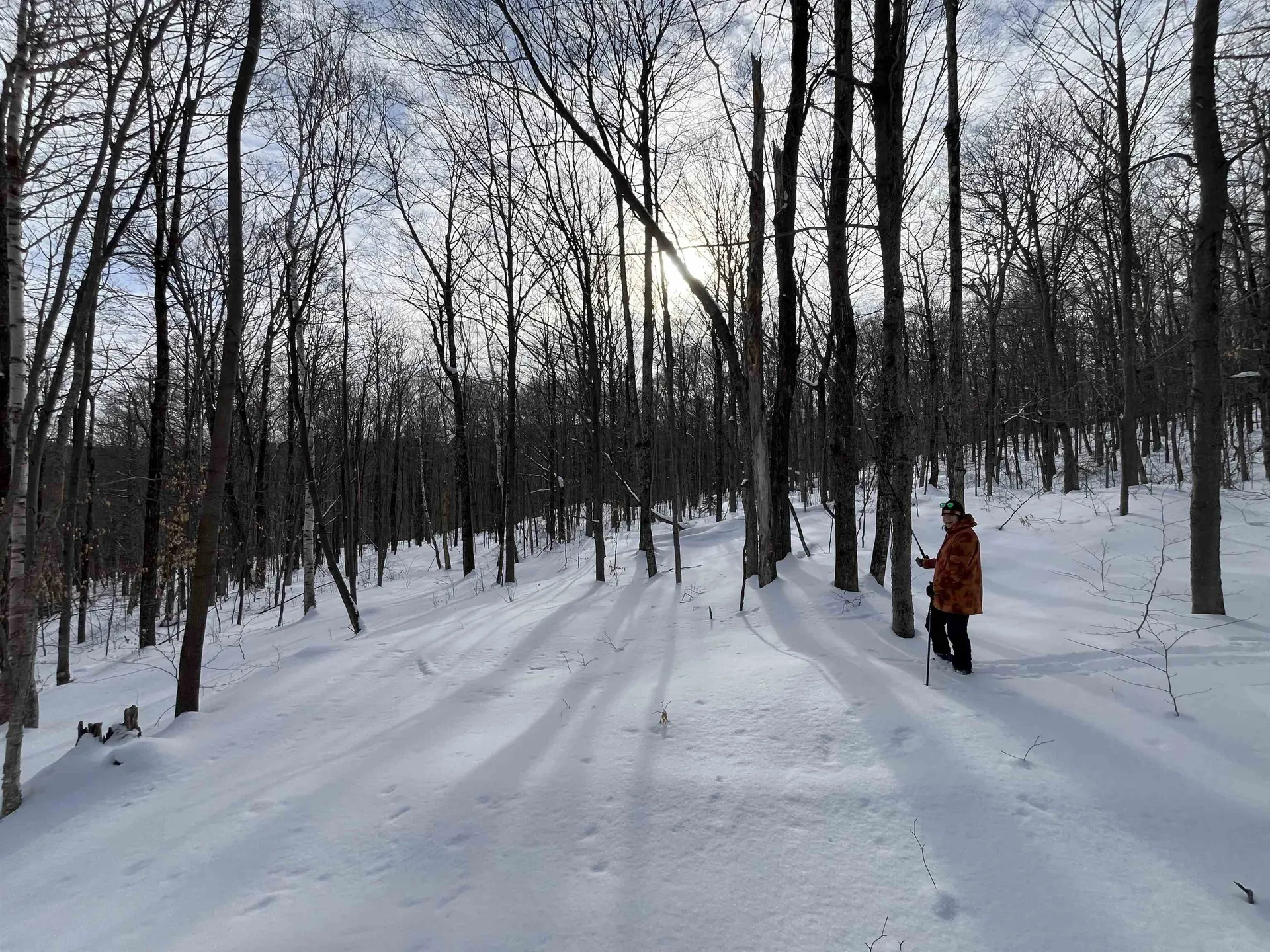 Lot 1 Streeter Road Wardsboro VT 05360