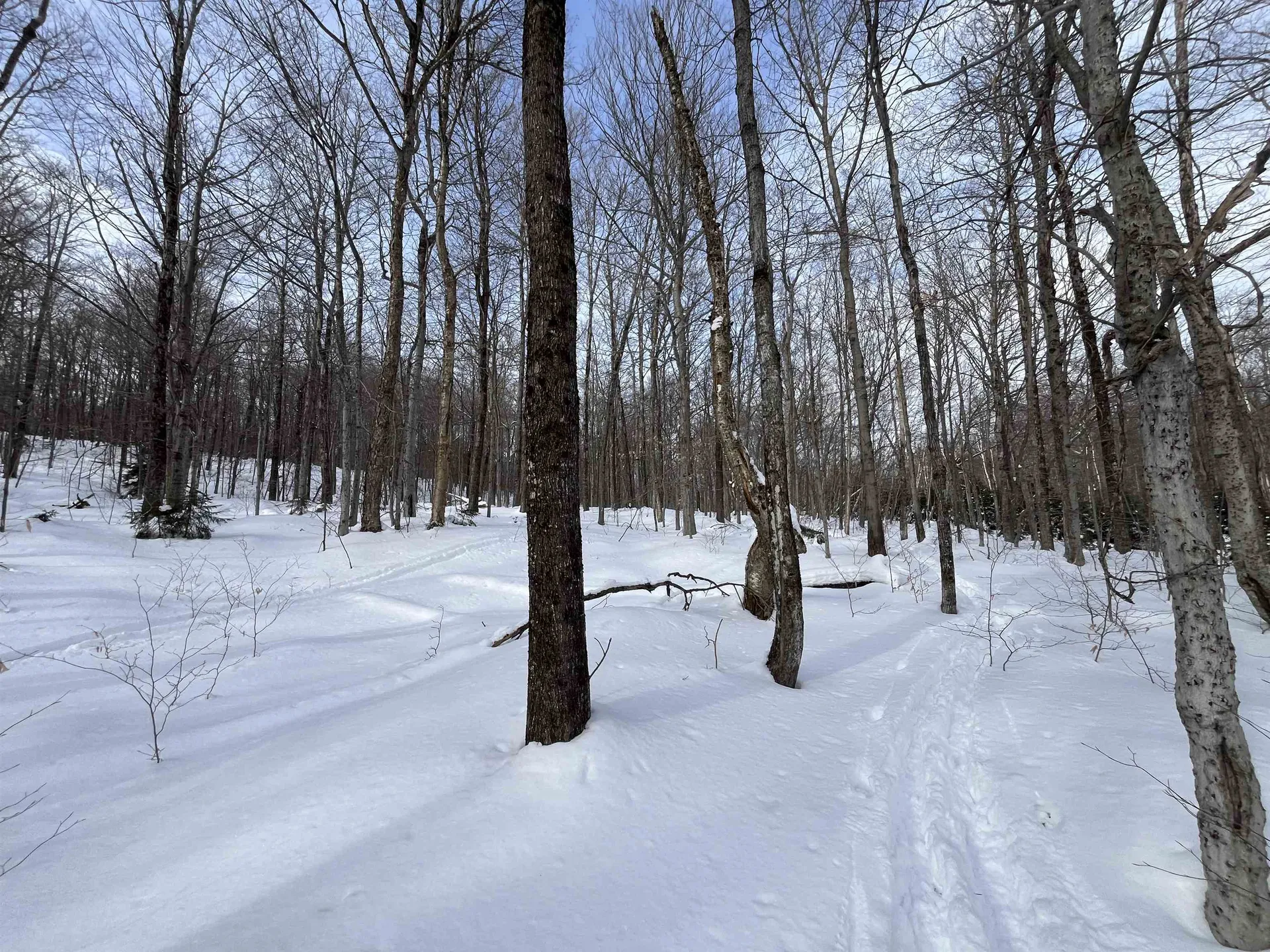 Lot 1 Streeter Road Wardsboro VT 05360