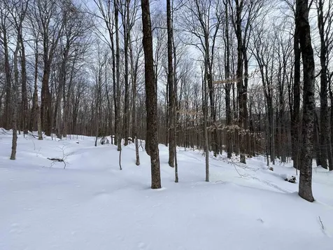 Lot 1 Streeter Road Wardsboro VT 05360