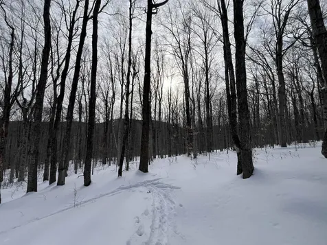 Lot 1 Streeter Road Wardsboro VT 05360