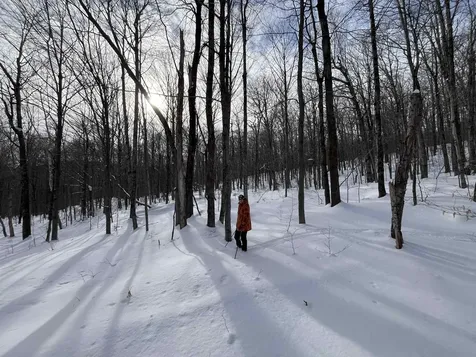 Lot 1 Streeter Road Wardsboro VT 05360