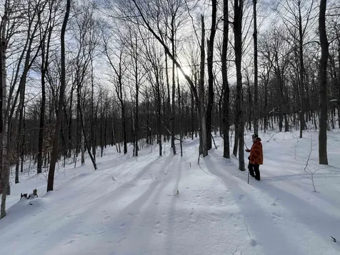 Lot 1 Streeter Road Wardsboro VT 05360