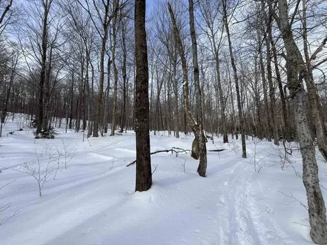 Lot 1 Streeter Road Wardsboro VT 05360