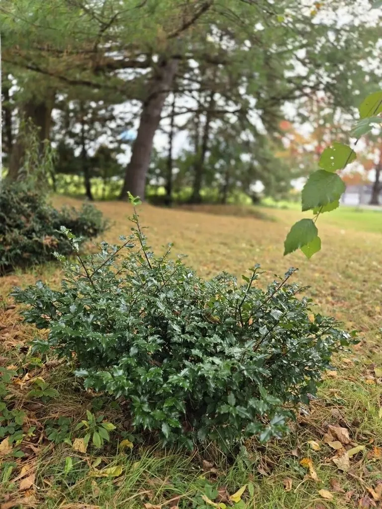 96 Curtis Avenue Rutland City VT 05701