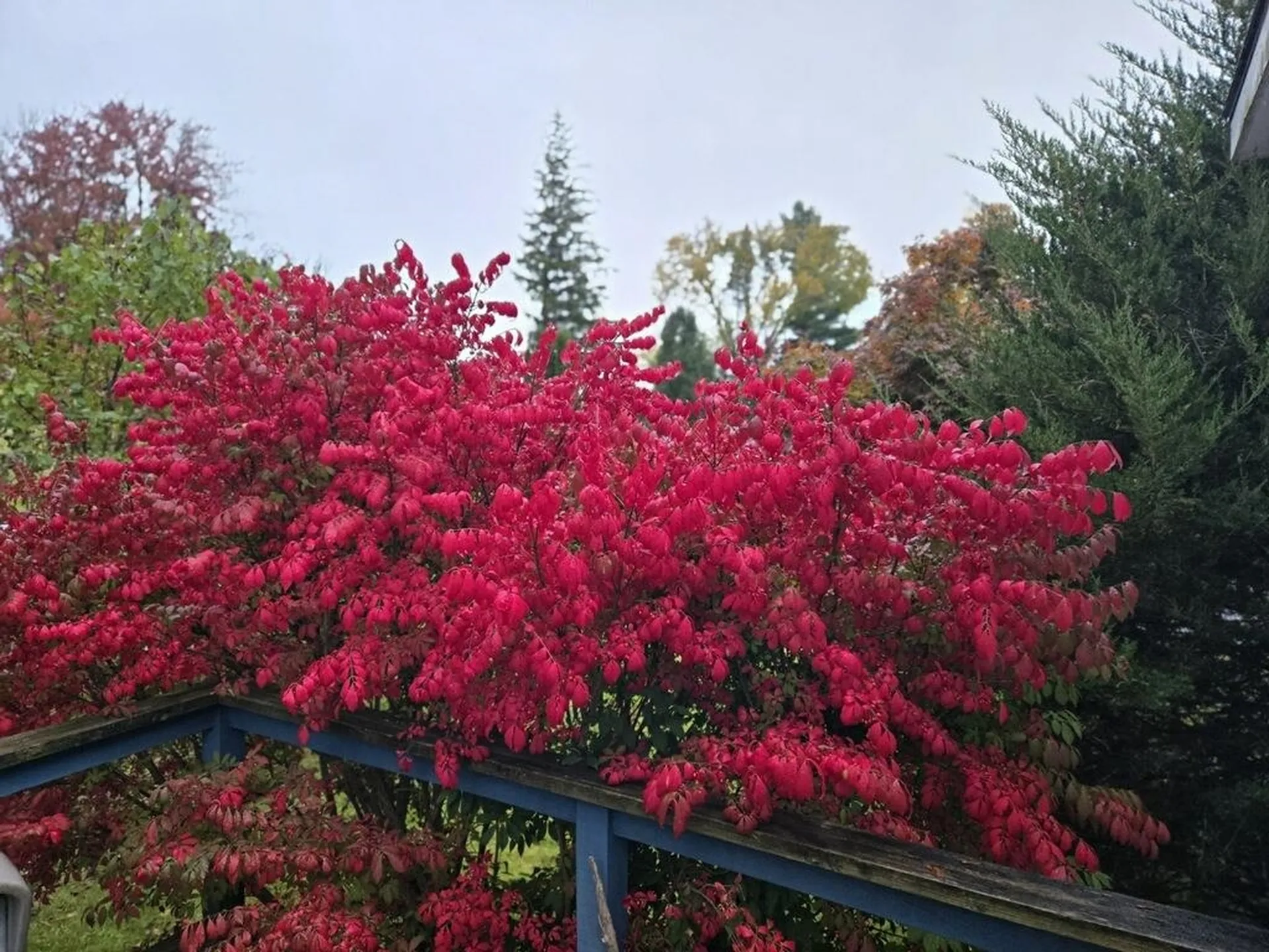 96 Curtis Avenue Rutland City VT 05701