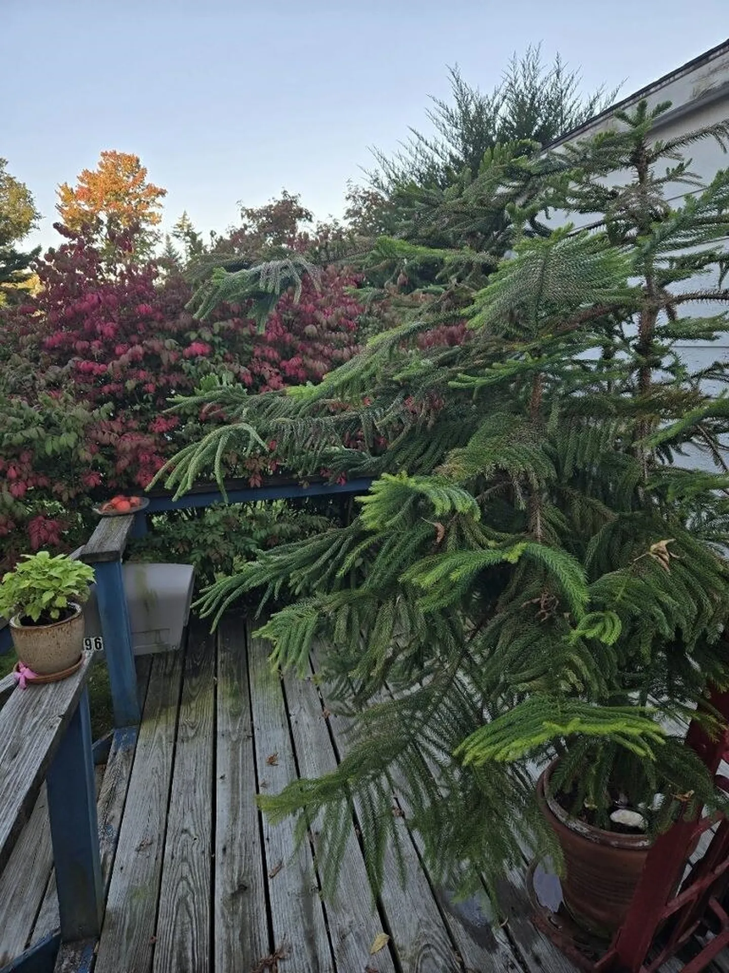 96 Curtis Avenue Rutland City VT 05701