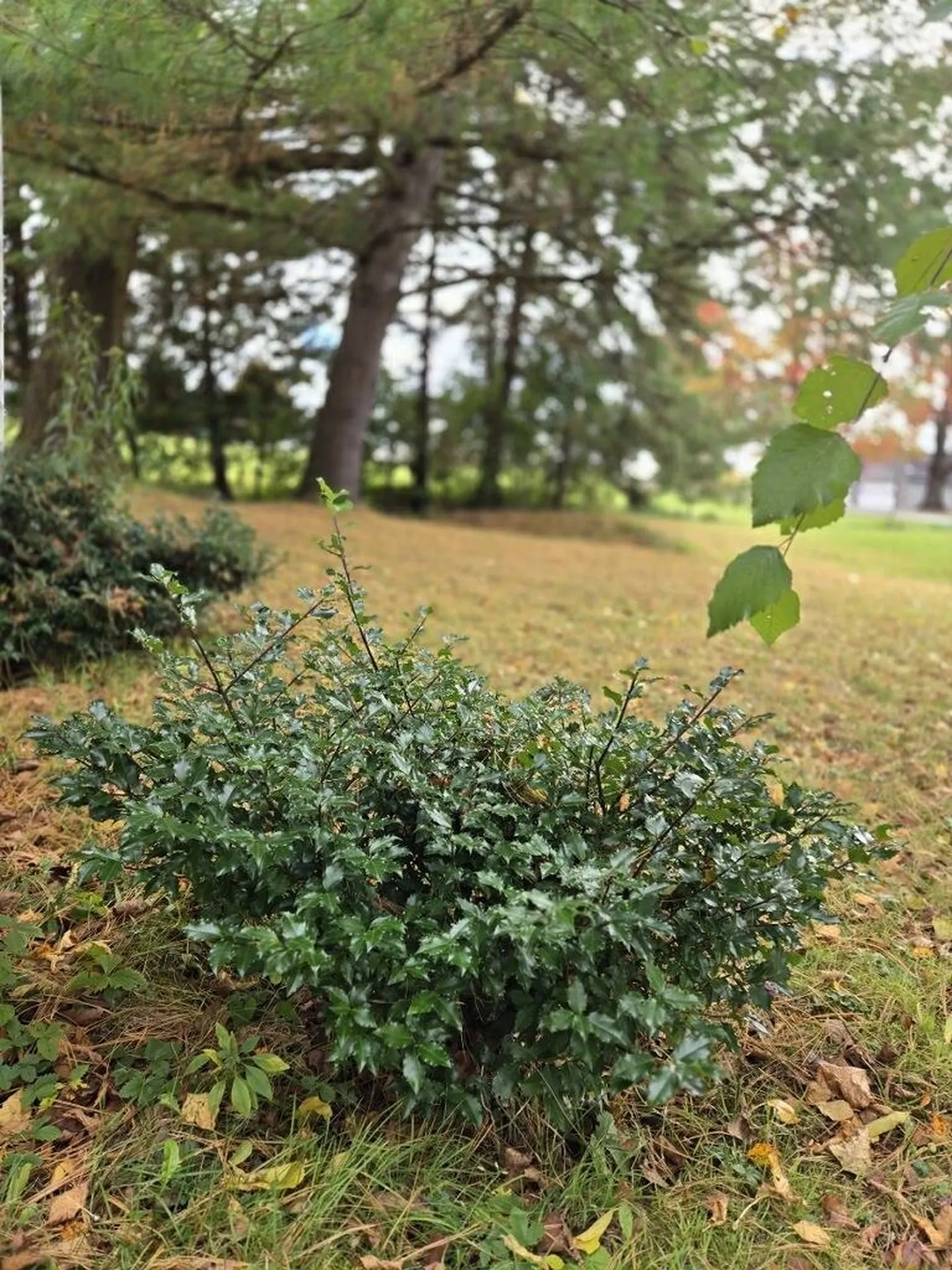 96 Curtis Avenue Rutland City VT 05701