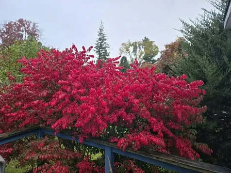 96 Curtis Avenue Rutland City VT 05701