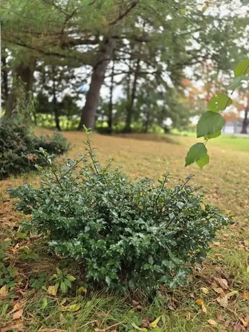 96 Curtis Avenue Rutland City VT 05701