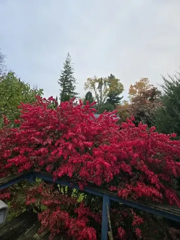 96 Curtis Avenue Rutland City VT 05701