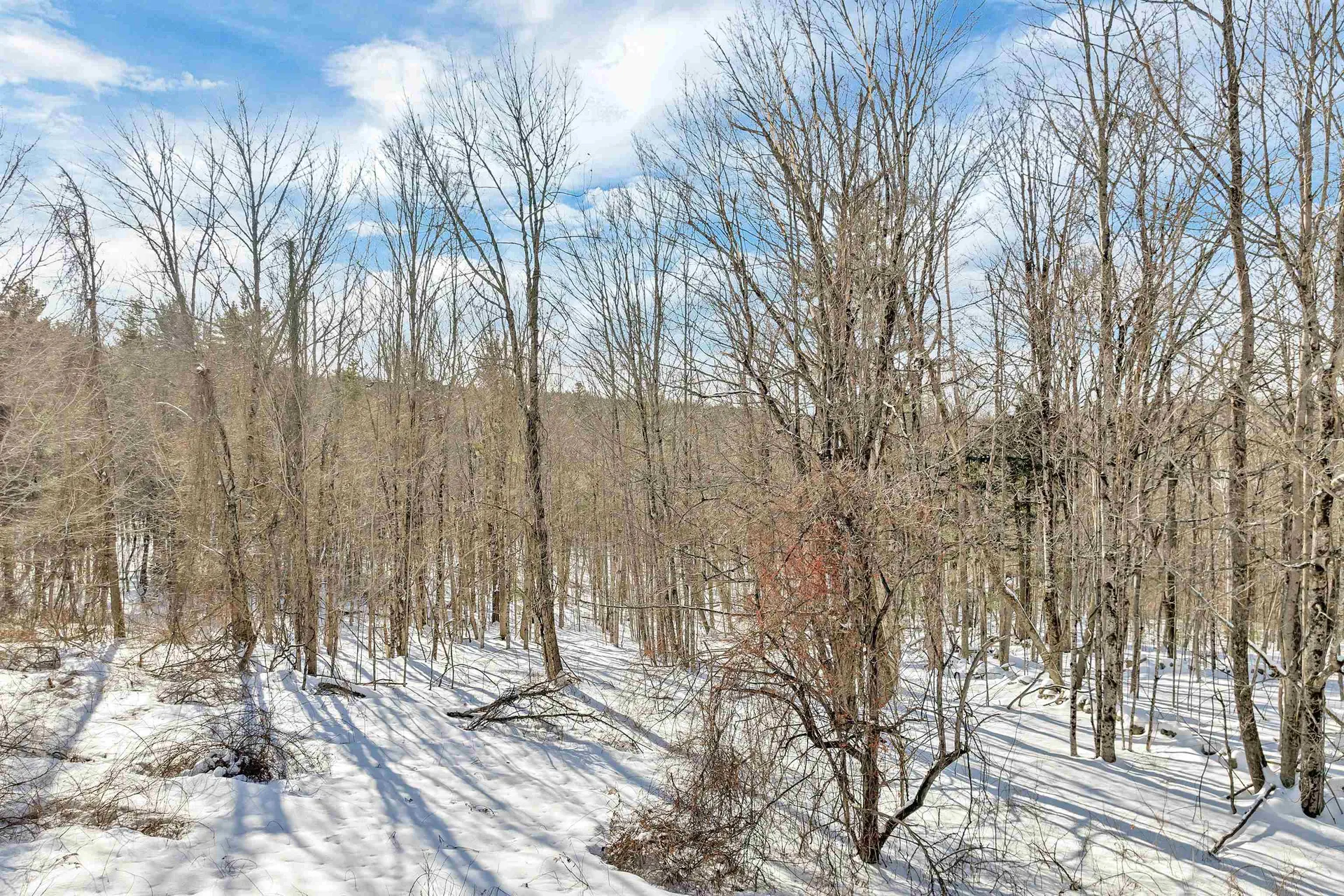 82 Edgerly School Road Meredith NH 03253