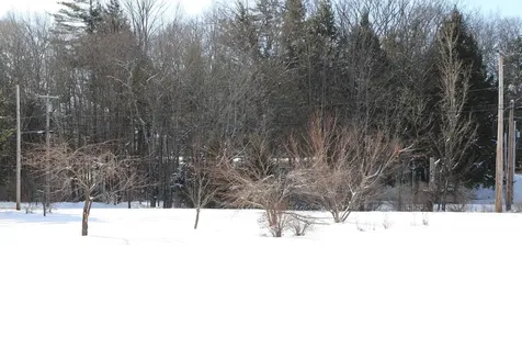 47 Lower Cemetery Road Langdon NH 03602