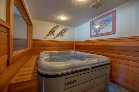 49C Greensprings Road Dover VT 05356