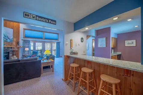 49C Greensprings Road Dover VT 05356