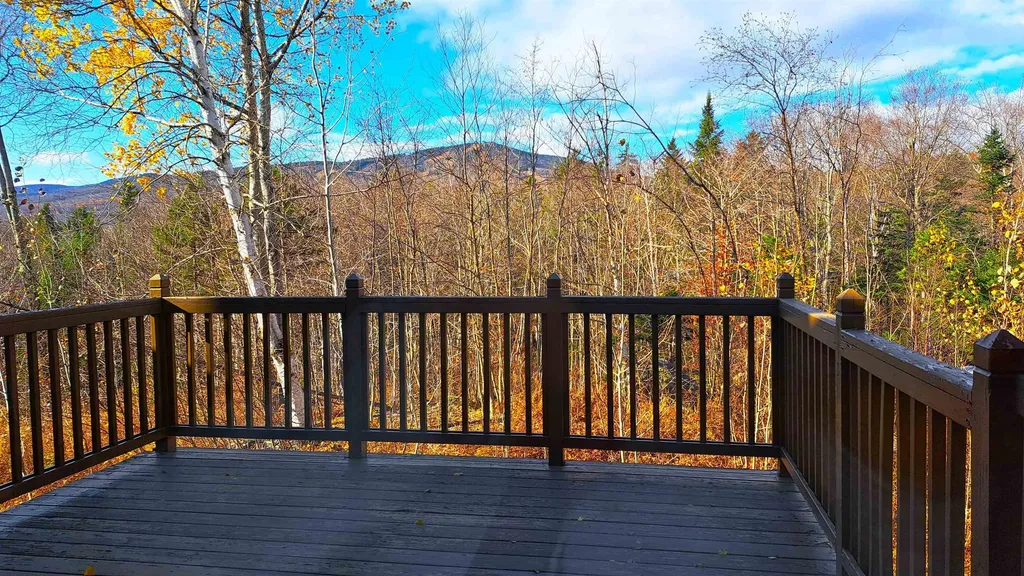106 Silver Birch Dover VT 05356