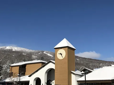 1199 Okemo Ridge Road Ludlow VT 05149
