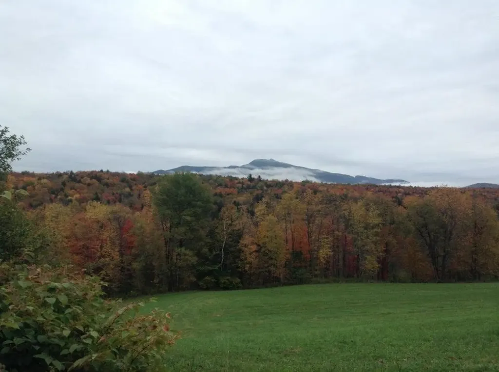 537-B Irish Settlement Road Underhill VT 05489