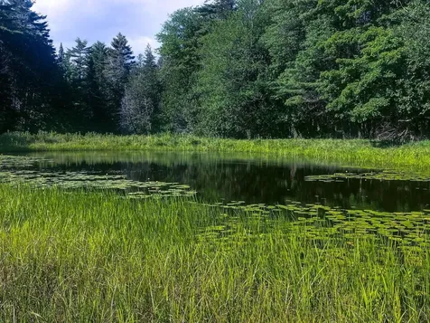 3443 North Road Newbury VT 05051