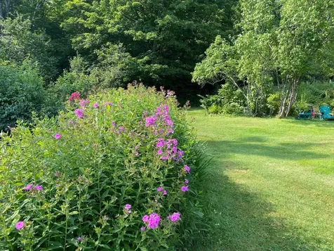 3443 North Road Newbury VT 05051