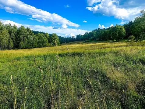 3443 North Road Newbury VT 05051