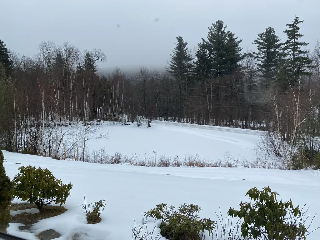 24 Antler Loop Dover VT 05356