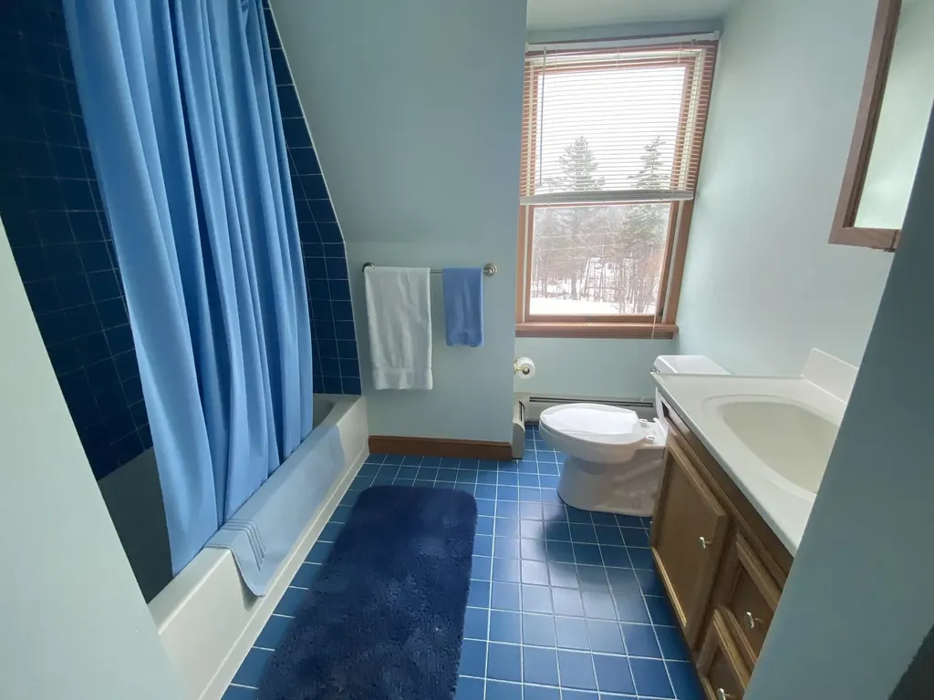 24 Antler Loop Dover VT 05356