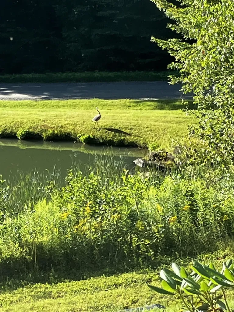 24 Antler Loop Dover VT 05356