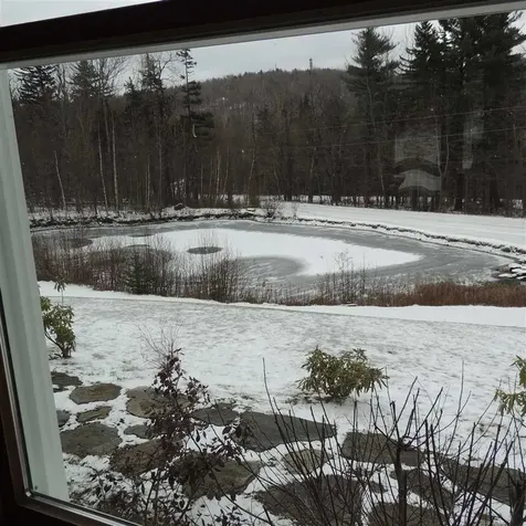 24 Antler Loop Dover VT 05356