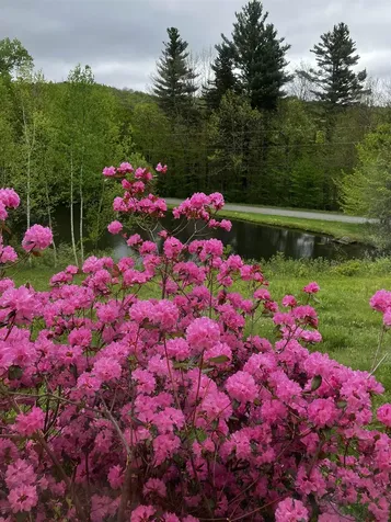 24 Antler Loop Dover VT 05356