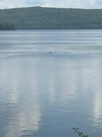 123 Idelewilde Road Pittsburg NH 03592