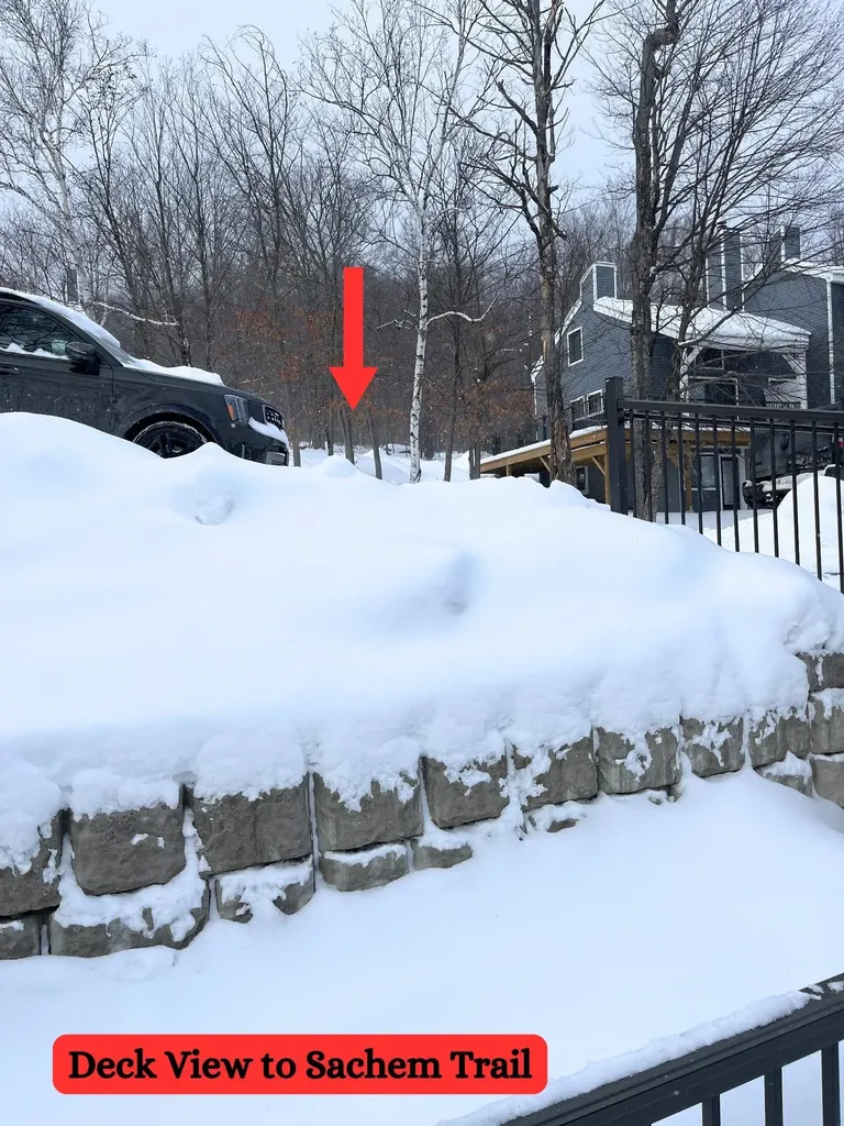 97 Okemo Trailside Extension Ludlow VT 05149