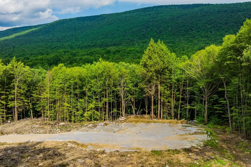 0 Alden Lane Sunderland VT 05250