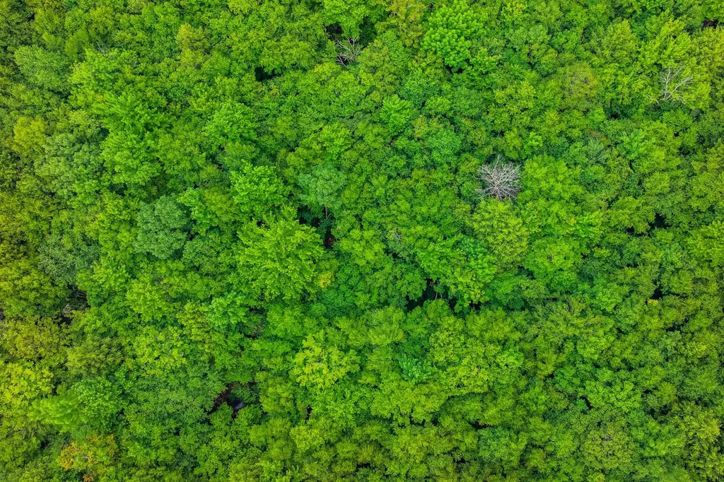 0 Alden Lane Sunderland VT 05250