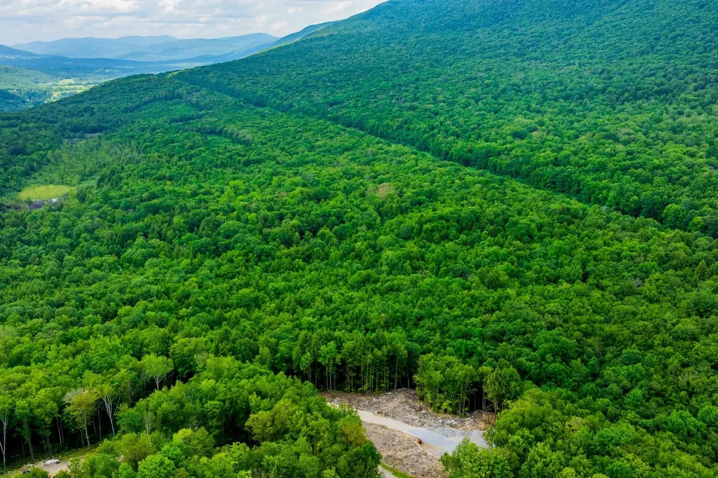 0 Alden Lane Sunderland VT 05250