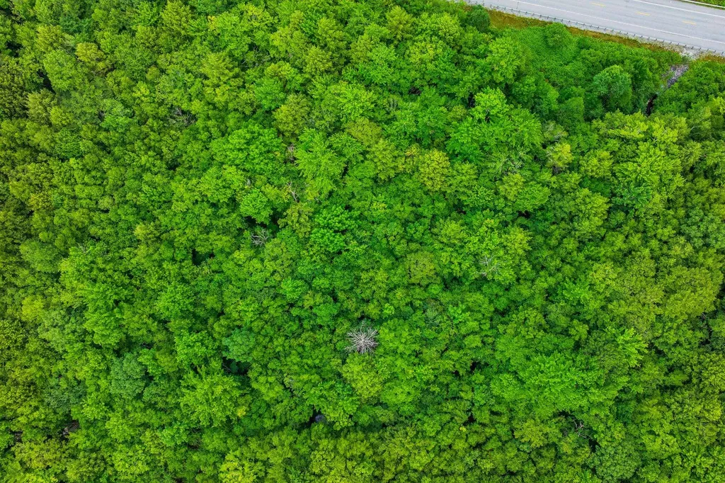 0 Alden Lane Sunderland VT 05250