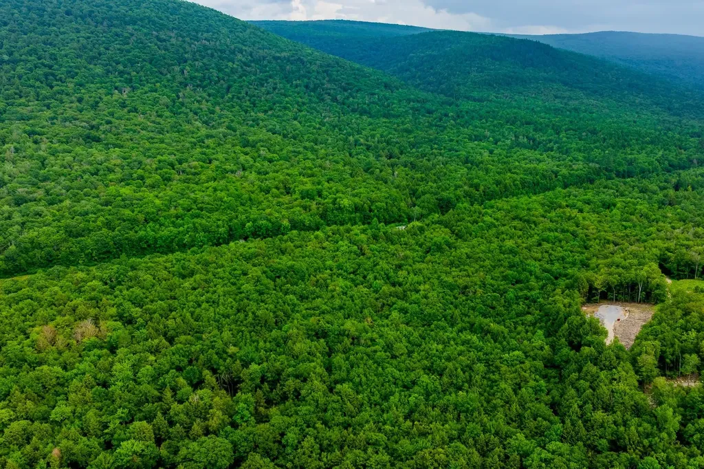 0 Alden Lane Sunderland VT 05250