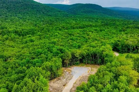 0 Alden Lane Sunderland VT 05250