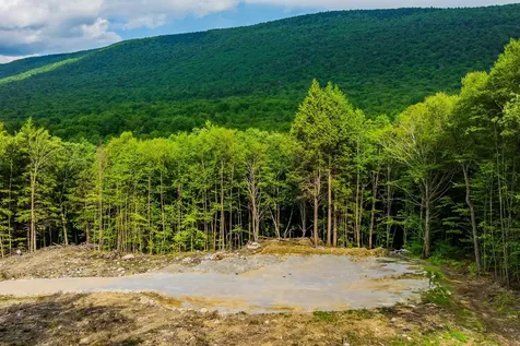 0 Alden Lane Sunderland VT 05250